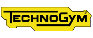 LingoFocus-Translation-Dichthuat-Nordic-Ngonngu-Languages-Technology-Technogym